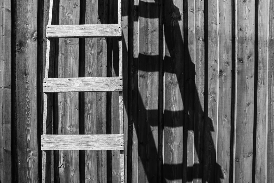 Aluminum Ladder 2026 Price & Cost Guide: Type, Height, Alloy and MOQ Levers