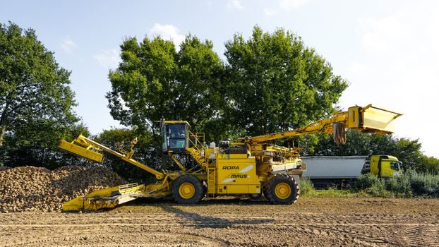 Asphalt Paver vs Cold Milling Machine - Operating Economics and the 2026 Sourcing Map