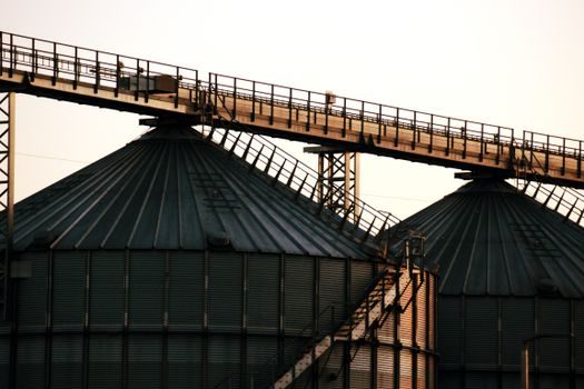 Bucket Elevator vs Screw Conveyor - Layout, Footprint and Drive Sizing
