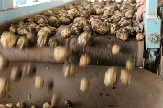 Chain Conveyor vs Vibrating Conveyor - Selection Criteria, Side by Side