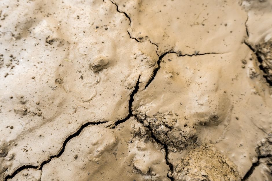 Concrete Curing Compound 2026 Buying Guide: Chemistry, Coverage, Spec Class