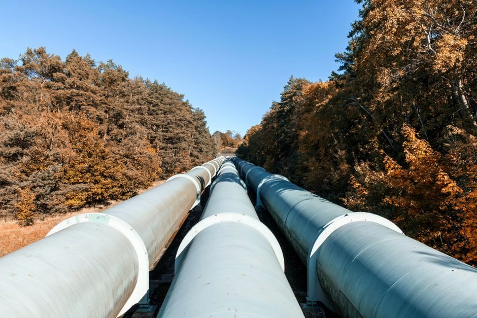 Coriolis flowmeter pricing 2026: sensor size, communication stack and certification