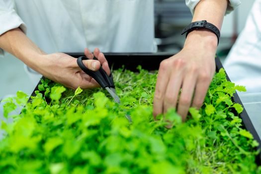 CPU smart manufacturing and automation - Who it is for - and which plants should not touch it