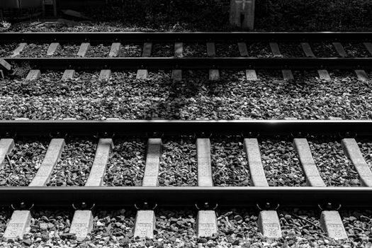 Crossed Roller Guide vs Linear Module - Decision Criteria: Rail vs Module