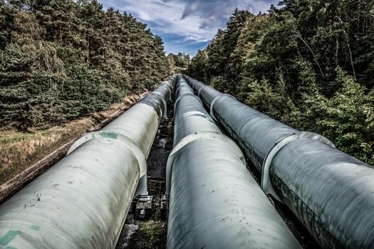 desalination industry trends 2026 - What 2026 procurement will track next