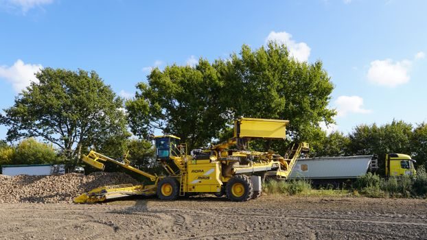 Dynamic Compactor buying guide 2026 - Type Comparison: Four Main Machine Families Side by Side