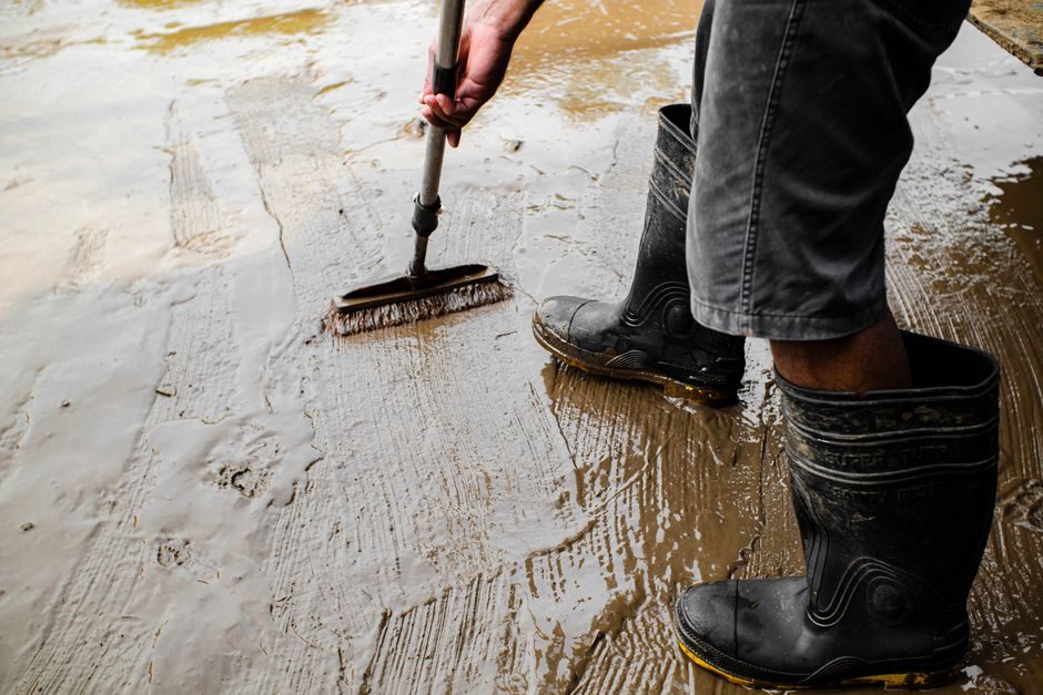 EPDM Selection Guide: Cure System, Hardness, Temperature and Media Gates