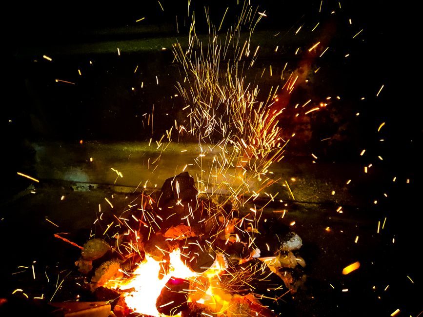 Flame Arrester Selection: Types, Standards, and Critical Selection Criteria for 2026