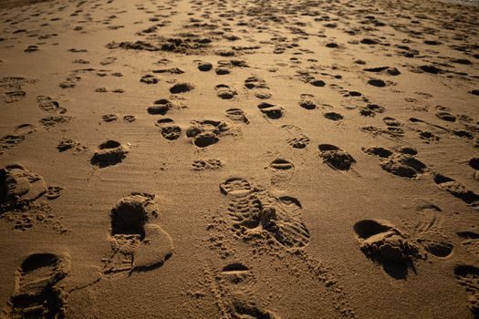 Lost Foam Casting Line vs Automatic Molding Line - Footprint, sand system and utility load