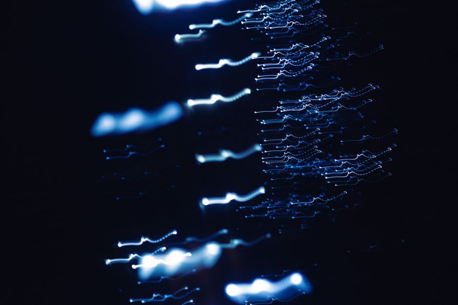 Oscilloscope Bandwidth Selection: 5 Times Rule and Product Tiers for Engineers