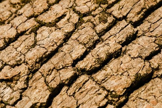 Rock Wool buying guide 2026 - Use Cases, Failure Modes, and Limits