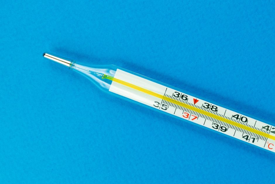 temperature recorder selection criteria for steam sterilization line - Integration with steam line instrumentation