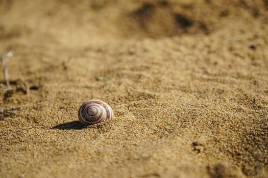 Shell Core Machine selection criteria - Gate 3 — Sand Type, Grain Fineness, and Reclaim Compatibility