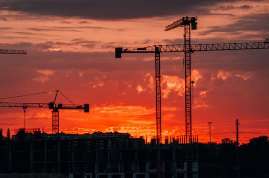 Stacker Crane buying guide 2026 - Cost, Lead Time and Sourcing Reality in 2026