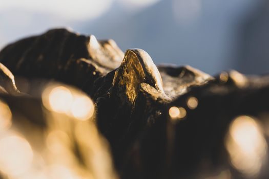 how to choose a Tin Bronze - Pressure, Wear and Corrosion: Who Tin Bronze Is FOR vs NOT For