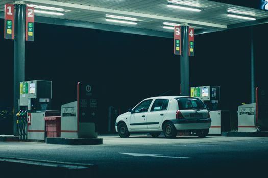 top hydrogen fuel cell companies 2026 - Automotive and Heavy-Mobility Players
