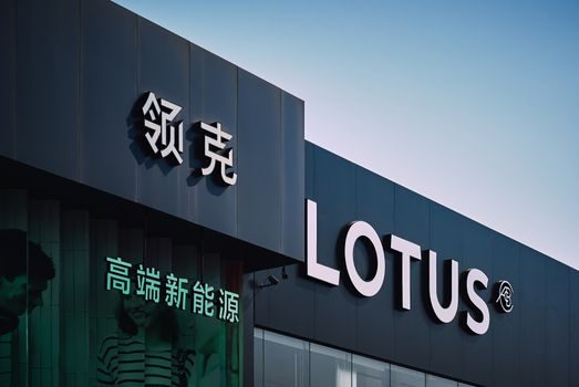 top lithium companies 2026 - Limitations, Failure Modes and Standards