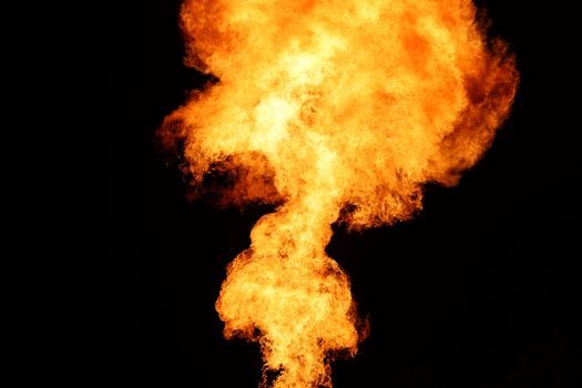 Vortex Flowmeter vs Gas Mass Flow Controller - Explosion Protection and Hazardous Area Use