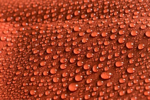 Waterproofing Membrane buying guide 2026 - Limitations and When Not to Use a Membrane