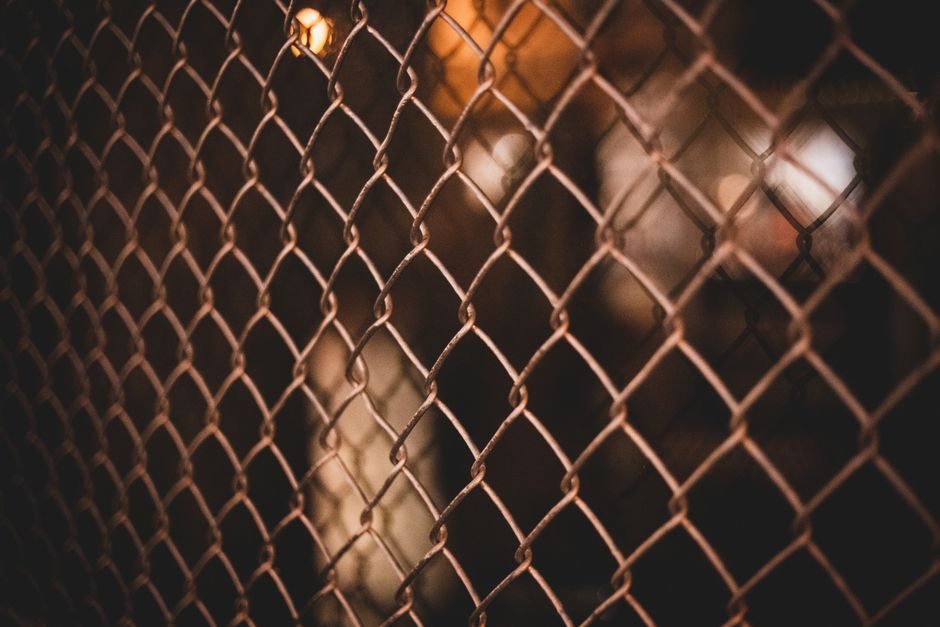 Welded Steel Mesh 2026 Buying Guide: Material, Aperture, Format, Standard