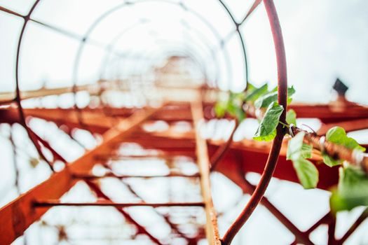 Aluminum Ladder sizing and selection guide - Supplier Map: China, India and Europe Sourcing