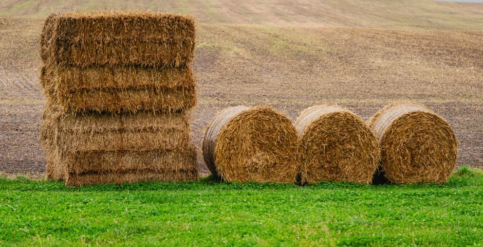 Baler Machine Price & Cost Guide 2026: Tier, Class and Sourcing Map