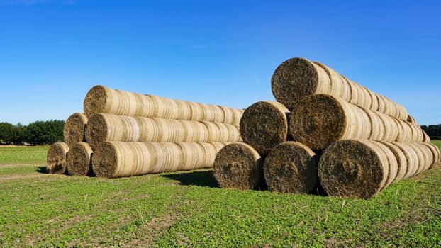 how to choose a baler machine - Chamber Geometry, Bale Footprint, and Tie-Off Method