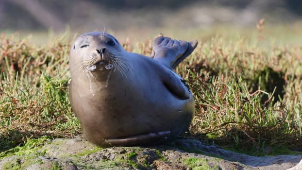 Bellows Seal selection criteria - Limits, Failure Modes and What Bellows Seals Cannot Do
