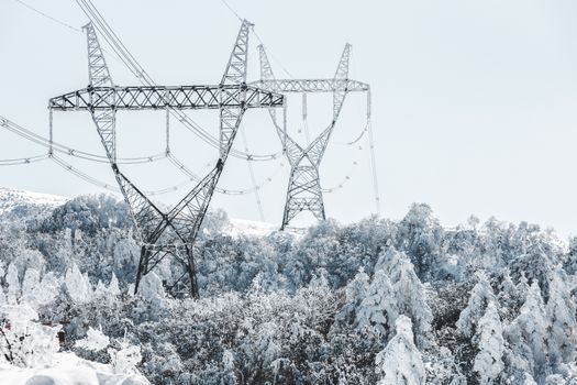 Contactor price and cost guide - Standards and Certification Surcharges: IEC 60947, UL 508, CE/CCC