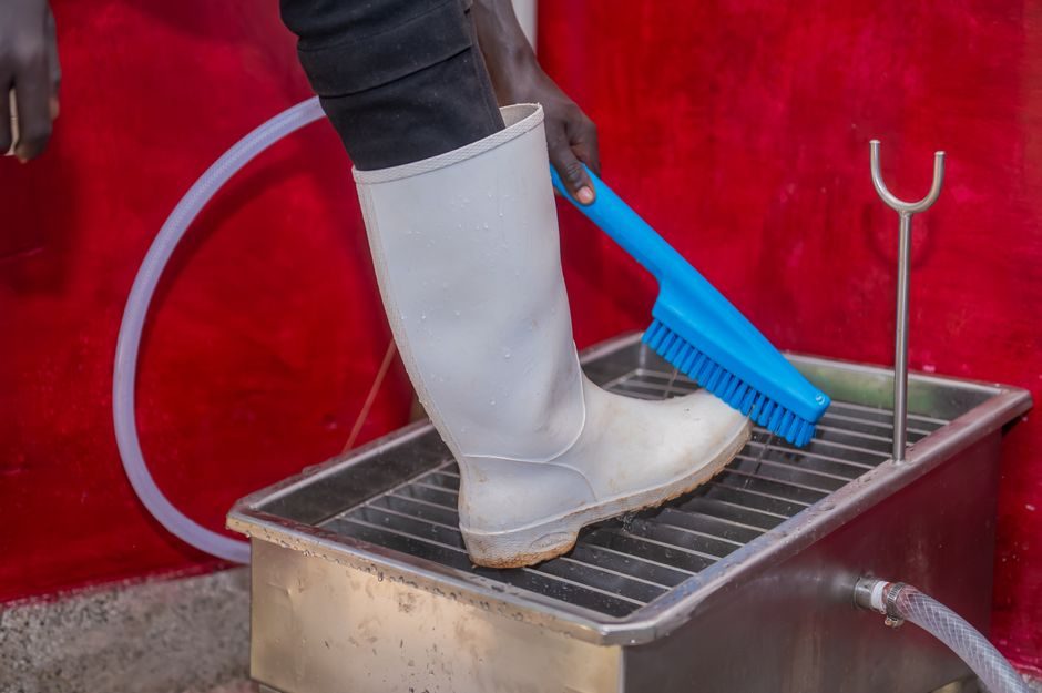 Eye Wash Station Installation: Placement, Flow, and Spec Trade-offs