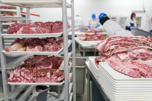 Gas Alarm Controller selection for food processing - Enclosure, Ingress, and Wash-Down Ratings