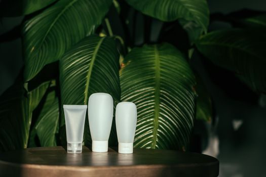 how to choose a plastic container - Comparison Table: PET vs HDPE vs LDPE vs PP at a Glance
