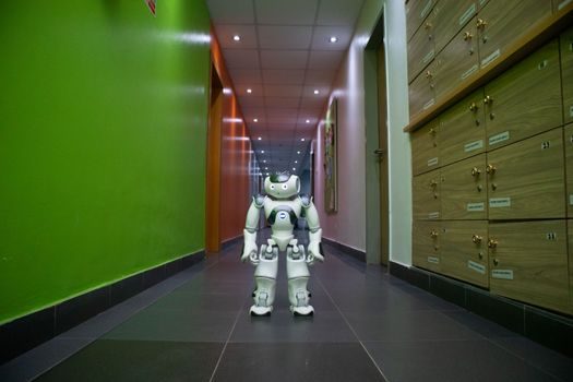 humanoid robot manufacturing process overview - Stage 3 — Full-Body Electromechanical Build
