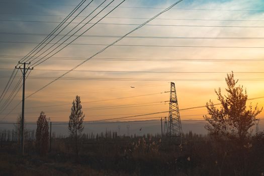 Infrared Line Level vs Automatic Level - Sensing Principle and Environmental Behavior
