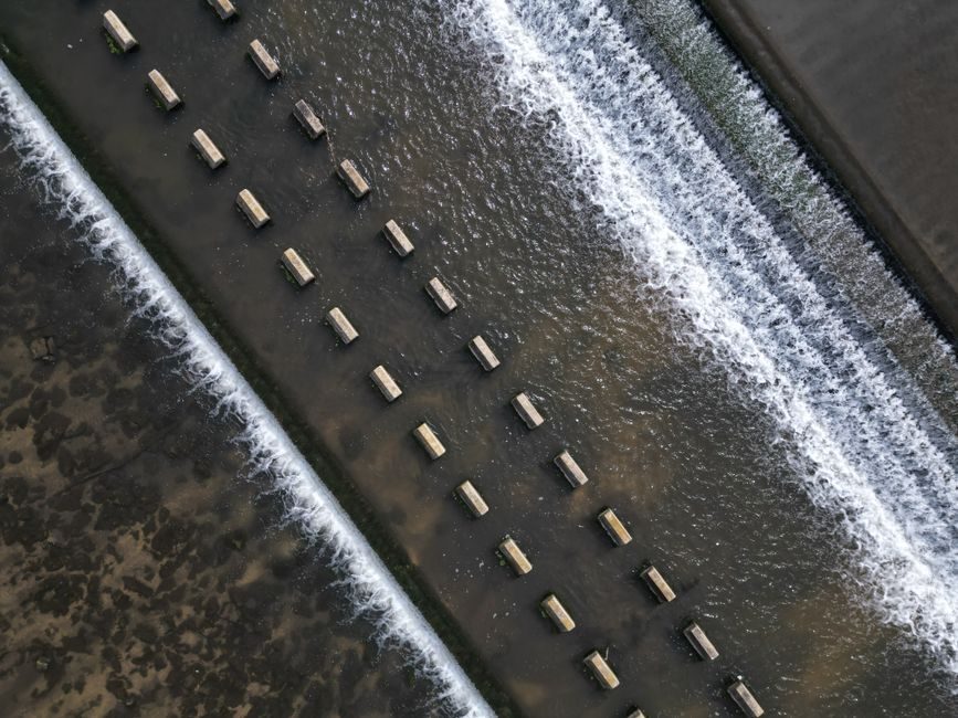 Magnetic-Drive vs Sealed Centrifugal Pump: Flow Stability Trade-Offs