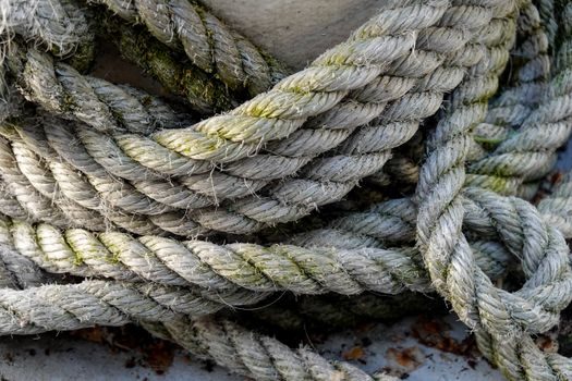 Nylon (PA) suppliers and manufacturers - Application split: which nylon is for whom