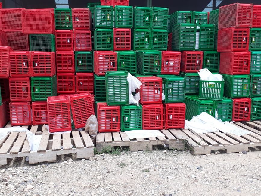 Palletizer Machine Types, Payload Classes, and 2026 End-of-Line Application Map