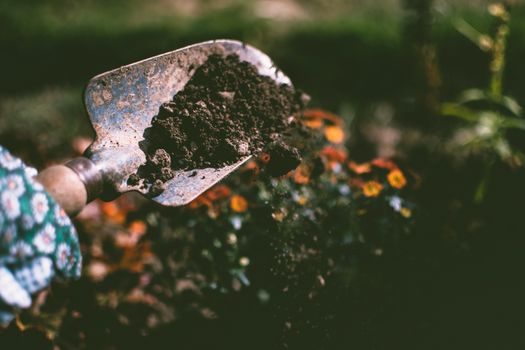 Power Trowel suppliers and manufacturers - Adjacent Sourcing Categories and Cross-Reference