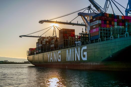 photovoltaic import and export market data - OEM Trading Firms and Custom House Broker Layer