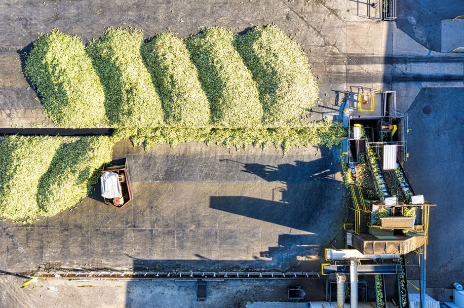 Roller Conveyor vs Bucket Elevator: 6 Spec Levers for Bulk vs Unit Loads