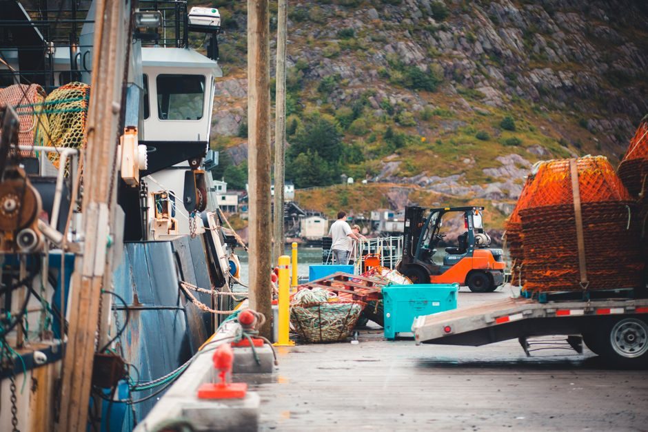Rough Terrain Forklift Selection Guide: Capacity, Drivetrain and Stability