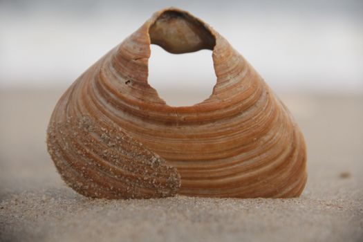 Shell Molding Machine total cost of ownership analysis - Disposal, Compliance, and the Sand Stream