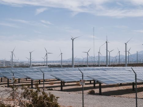 solar panel competitive landscape 2026 - Legacy OEM Long Tail vs Active 2026 Brands