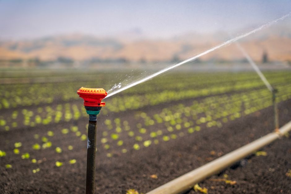 Sprinkler System Types, Hazard Classes, and Spec Boundaries