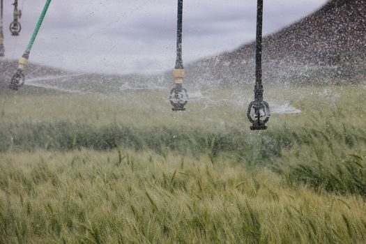 Sprinkler System types and classifications - Design Density: GPM/SF by Hazard