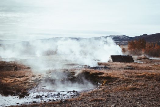 Steam Separator vs Y-Strainer - Where a Steam Separator Earns Its Flange