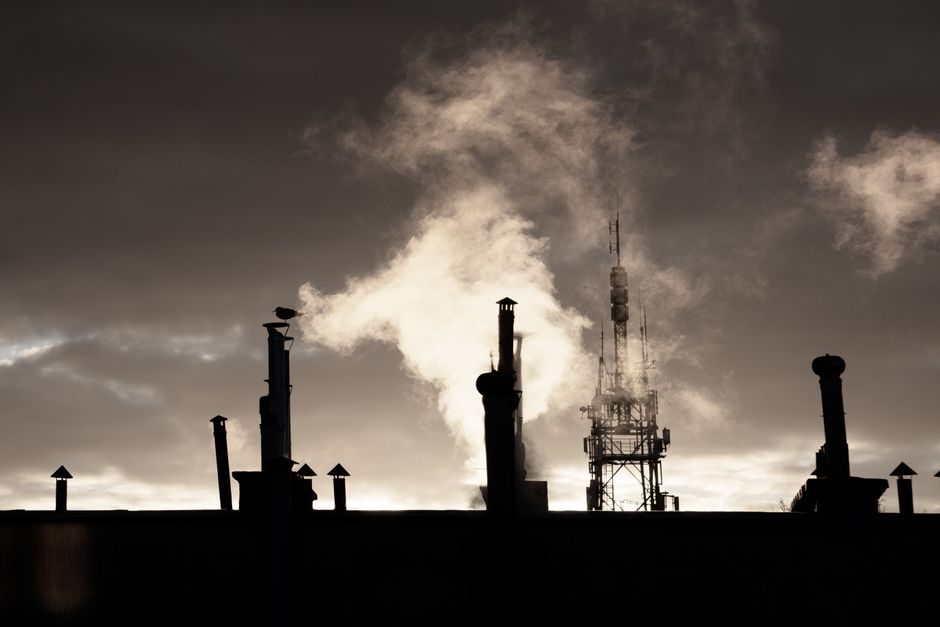 Steam Separator vs Y-Strainer: Spec Boundaries, Removal Targets and Sourcing Rules