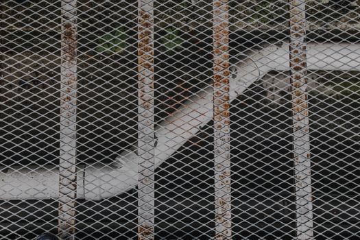 Steel-Plastic Composite Pipe advantages and disadvantages - Comparison: SP Composite vs Adjacent Pipe Families