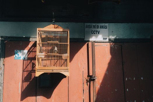 Storage Cage advantages and disadvantages - Advantages with hard numbers