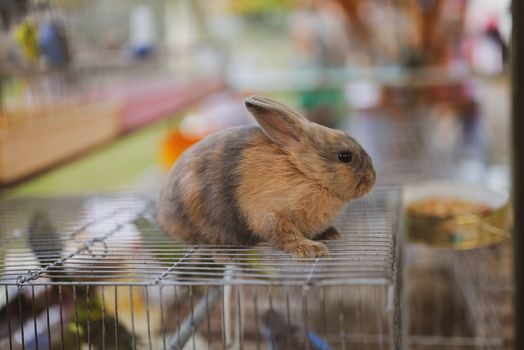Storage Cage buying guide 2026 - Who a wire mesh storage cage is for - and who it is not for